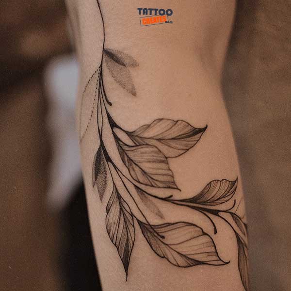 50+ Awesome Leaf Tattoos With Meaning (New Designs)