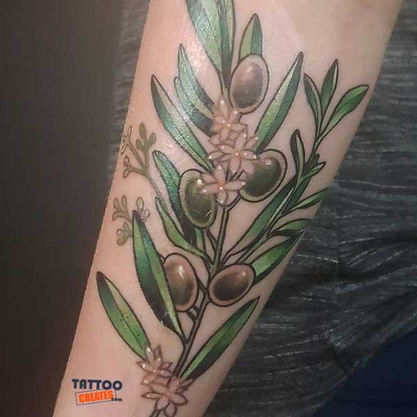 60+ Stunning Olive Branch Tattoos With Meaning (New Designs)