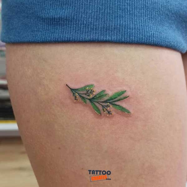 60+ Stunning Olive Branch Tattoos With Meaning (New Designs)