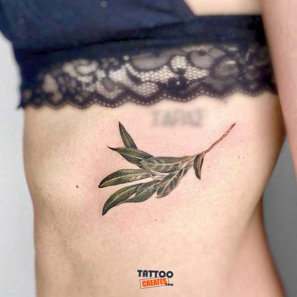 60+ Stunning Olive Branch Tattoos With Meaning (New Designs)