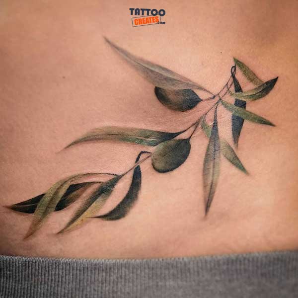 60+ Stunning Olive Branch Tattoos With Meaning (New Designs)