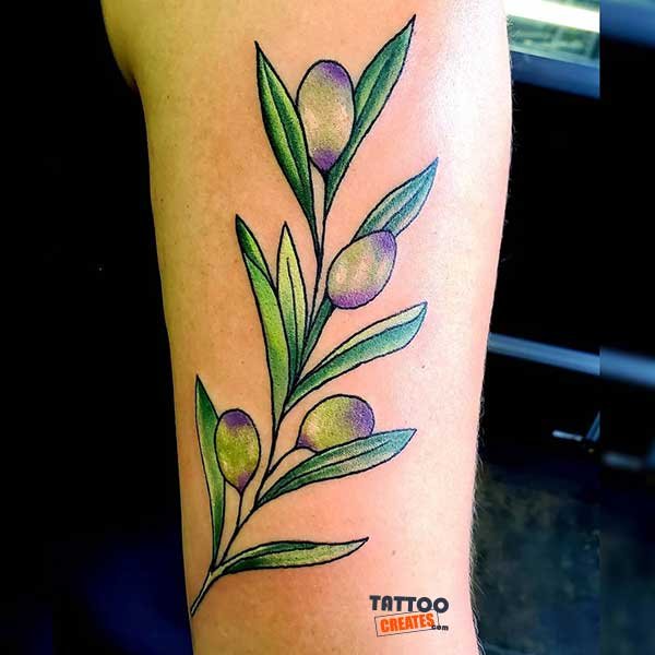 60+ Stunning Olive Branch Tattoos With Meaning (New Designs)