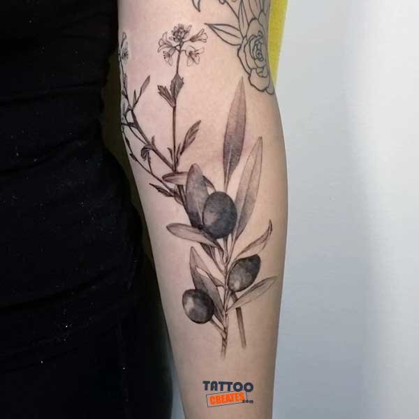 60+ Stunning Olive Branch Tattoos With Meaning (New Designs)