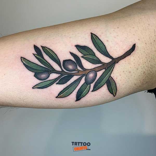 60+ Stunning Olive Branch Tattoos With Meaning (New Designs)