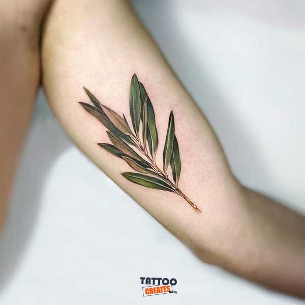 60+ Stunning Olive Branch Tattoos With Meaning (New Designs)