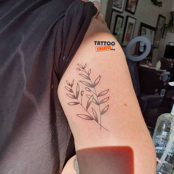 60+ Stunning Olive Branch Tattoos With Meaning (New Designs)