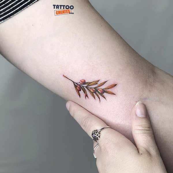 60+ Stunning Olive Branch Tattoos With Meaning (New Designs)