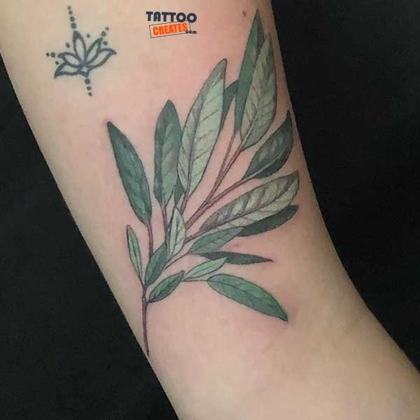 60+ Stunning Olive Branch Tattoos With Meaning (New Designs)