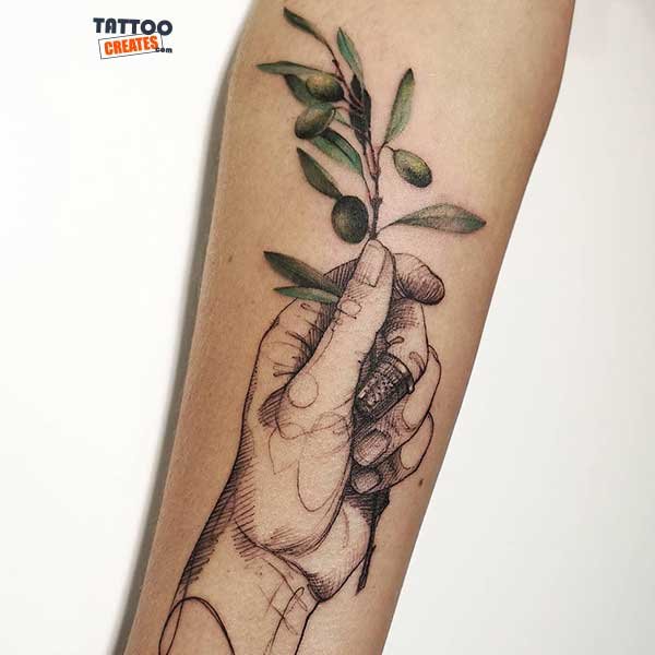 60+ Stunning Olive Branch Tattoos With Meaning (New Designs)