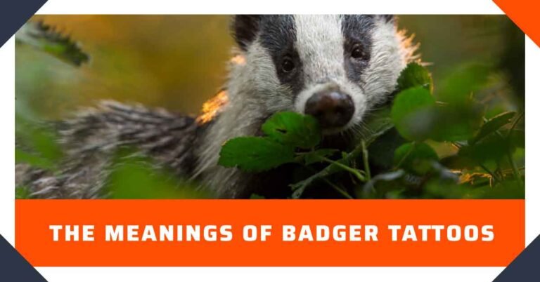 What Does a Badger Tattoo Symbolize?