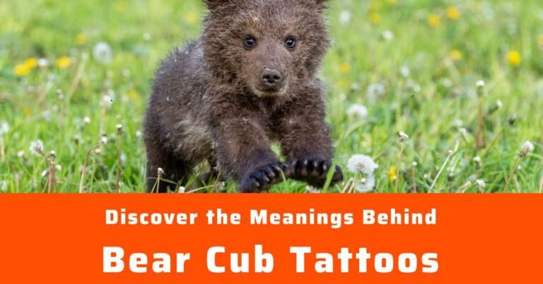 What Does a Bear Cub Tattoo Symbolize?