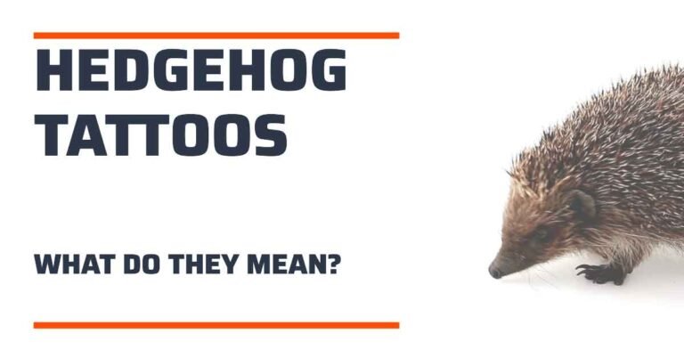 What Does a Hedgehog Tattoo Symbolize?