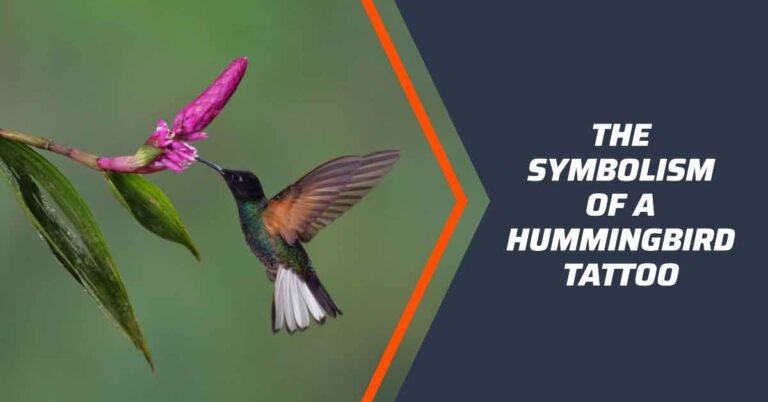 What Does a Hummingbird Tattoo Symbolize?