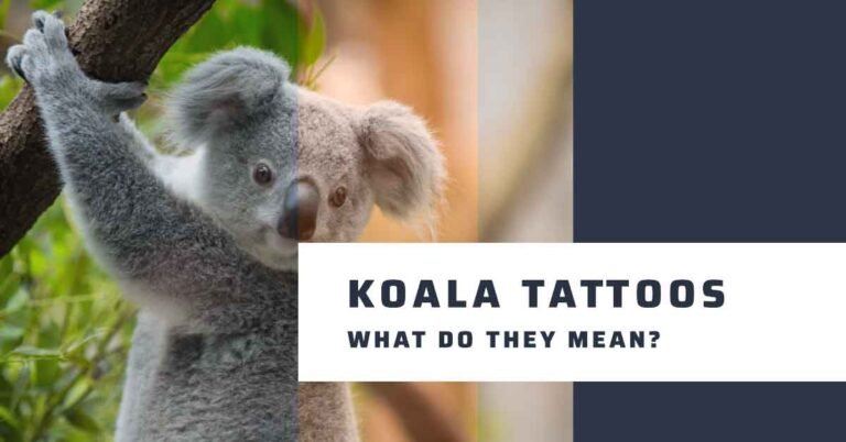 What Does a Koala Tattoo Symbolize?