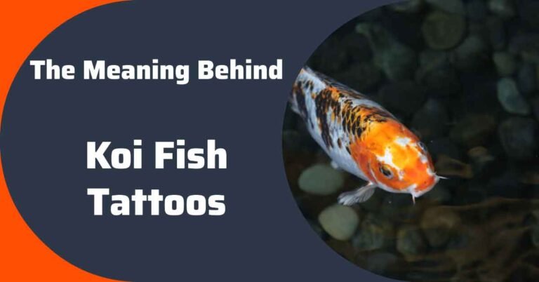 What Does a Koi Fish Tattoo Symbolize?