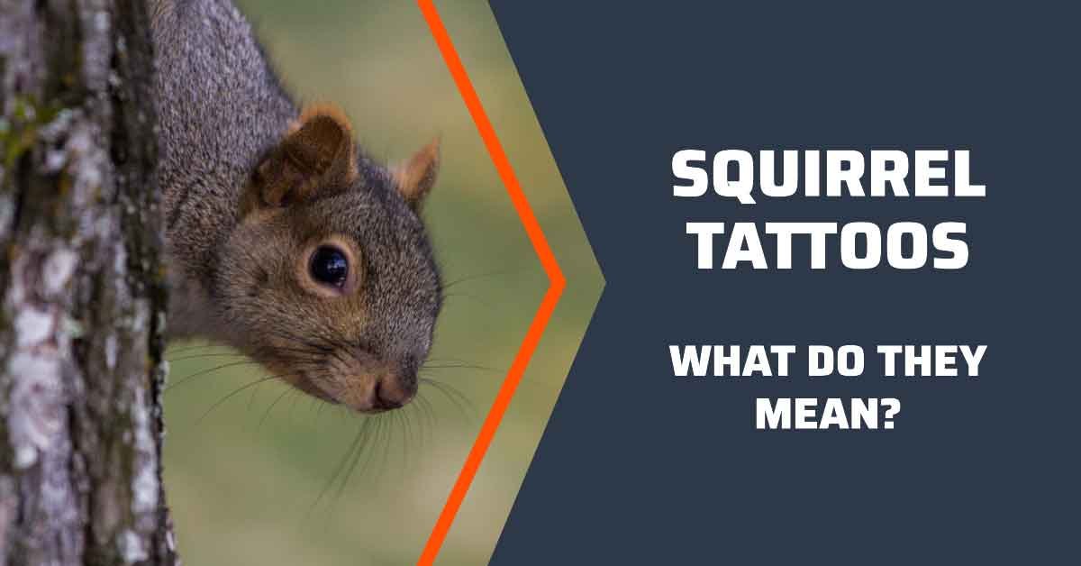 What Does a Squirrel Tattoo Symbolize