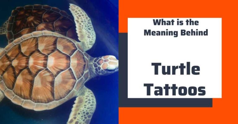 What Does a Turtle Tattoo Symbolize?