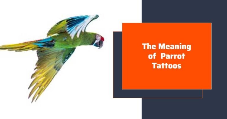 What Does a Parrot Tattoo Symbolize?