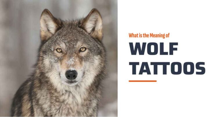 What Does a Wolf Tattoo Symbolize? Inspired by Native American Culture